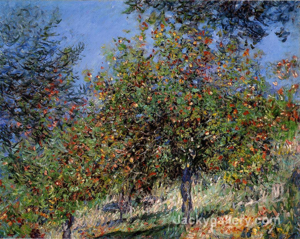 Apple Trees on the Chantemesle Hill by Claude Monet paintings reproduction